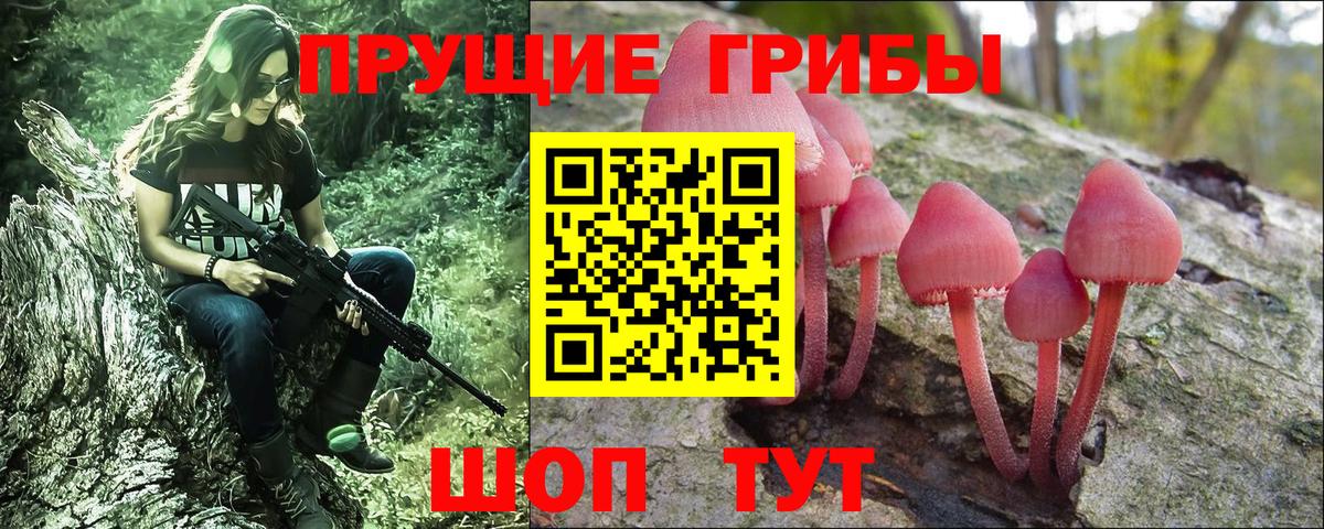 Каспийск  Псилоцибиновые грибы мухоморы  Вход с VPN 