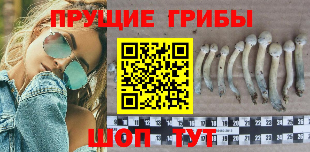 Псилоцибиновые грибы MAGIC MUSHROOMS Каспийск